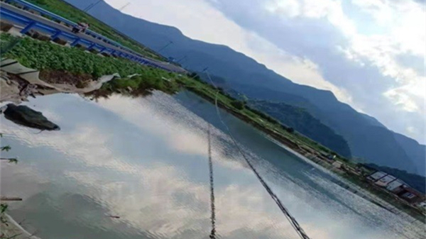 od平台|OD（中国）官方欣网|欣网通信